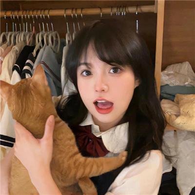 宋家皇朝